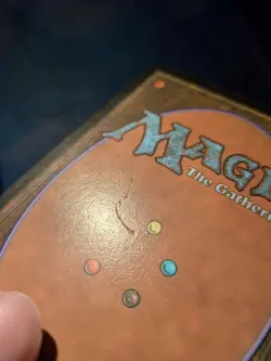 Helga, Skittish Seer - Promo - Non-Foil - M - Bloomburrow - EX - MTG - Image 3