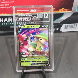 Pokemon Breloom V 176/S-P Gym Pack 6 Promo Holo TAG 10 Japanese 2021 - Image 1