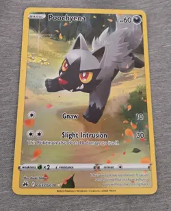 Pokemon Poochyena TCG Crown Zenith: Galarian Gallery Holo Rare Card GG33/GG70 - Image 1