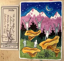 MTG ARTIST PROOF MTG Argothian Pixies AP Sketch Art Amy WEBER - Image 1