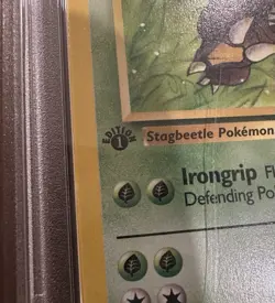 1999 Pokemon Jungle 1st Edition PINSIR Non Holo #25/64 PSA 8 NM-MT - See Photos - Image 3