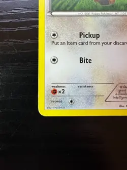 Lillipup (80) 80/114 Black and White Common Normal Pokemon TCG LP - Image 4