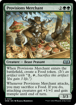 Provisions Merchant #321 | Near Mint FOIL | Wilds of Eldraine WOE | Magic MTG - Image 1