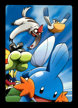 Torchic Adventure Card 010 Japanese Pokemon Card ~ MP - Image 2