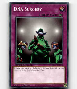 Yugioh DNA Surgery Speed Duel: Streets of Battle City - Image 1