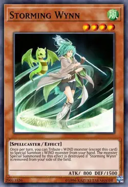 Yu-Gi-Oh! Enemy of Justice Storming Wynn 1st Edition EOJ-EN029 - Image 1