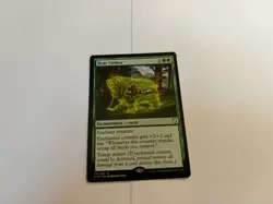 Bear Umbra Commander 2018 Regular - Image 1