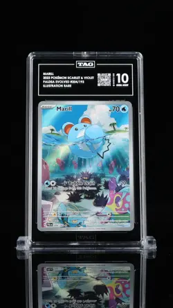 Marill 2023 Pokemon Paldea Evolved TAG 10 #204 - Image 1
