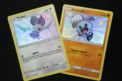 Noibat SV43/SV94 & Rockruff SV23/SV94 - S&M Hidden Fates NM - Pokemon TCG - Image 1