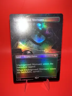 Underground Mortuary (Borderless) [Murders at Karlov Manor] Near Mint - MTG - Image 2