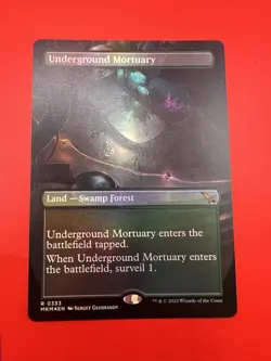 Underground Mortuary (Borderless) [Murders at Karlov Manor] Near Mint - MTG - Image 3