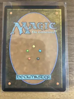 Rhythm of the Wild (Borderless) - 0012 - Regular- PZA - TMNT - NM - - Image 2