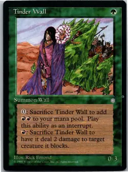 Tinder Wall C Ice Age 158 LP - Image 1