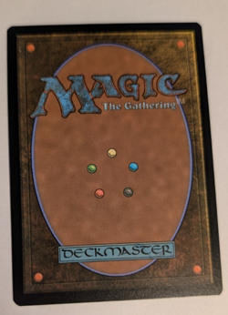 Banner of Kinship - Magic the Gathering - Foundations R0127 - Pack Fresh!! - Image 2