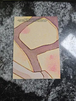 CHARMANDER #04 - BLUE LOGO - POKEMON The First Movie STICKER PUZZLE Card - Image 4