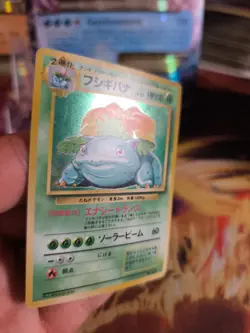 Pokemon Karte Card Bisaflor Venusaur Expansion Base Set Holo Wotc japanese Exc - Image 2