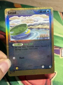 Lotad 66/100 Reverse Holo Foil Ex Sandstorm Pokemon E Series Card 2003 MP HP - Image 3