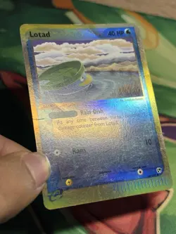 Lotad 66/100 Reverse Holo Foil Ex Sandstorm Pokemon E Series Card 2003 MP HP - Image 4