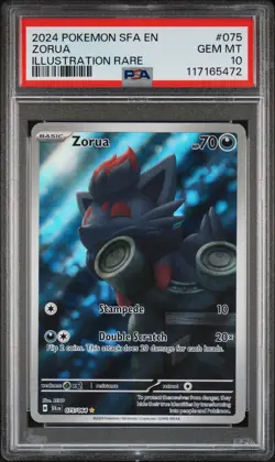 2024 POKEMON SFA EN-SHROUDED FABLE ILLUSTRATION RARE #075 ZORUA PSA 10 - Image 1