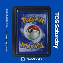 1999 POKEMON JUNGLE #8/64 PIDGEOT HOLO RARE - Image 2