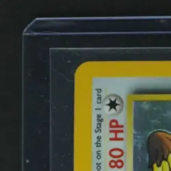 1999 POKEMON JUNGLE #8/64 PIDGEOT HOLO RARE - Image 3