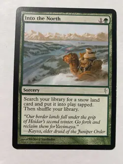 MTG Coldsnap - 1x Into the North - MP - Image 1