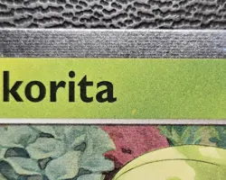 Pokemon TCG Chikorita MEP 069 2026 Perfect Order Black Star Promo Card - NM - Image 3