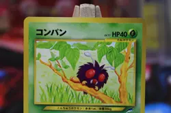 Pokemon Card Venonat 048 Topsun 1995 Nintendo Japanese Old Back - Image 2