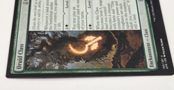MTG Druid Class Adventures in the Forgotten Realms 180/281 Regular Uncommon NM - Image 5