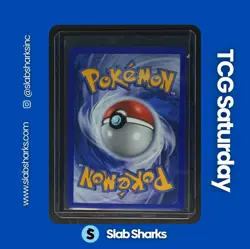 2007 POKEMON EX POWER KEEPERS DARK BLAST THEME DECK PROMO #18/108 MIGHTYENA HOLO - Image 2