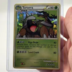 Pokemon TCG Torterra Theme Deck Exclusives 10/95 Exclusive Cracked Ice Holo NM - Image 1