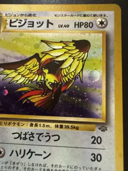 Pidgeot Holo Card No.018 Jungle Japanese Rare Pokemon TCG Vintage 1997 WOTC - Image 3