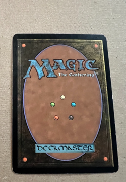 Privileged Position - Ravnica: City of Guilds - MTG - Magic the Gathering - Image 3