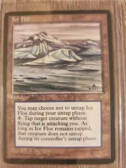 MTG Magic the Gathering Ice Age Ice Floe Vintage LP - Image 1