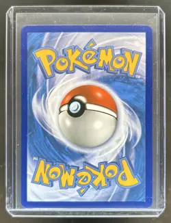 2016-19 Pokemon SM Black Star Promos Mewtwo & Mew #SM191 - Image 2