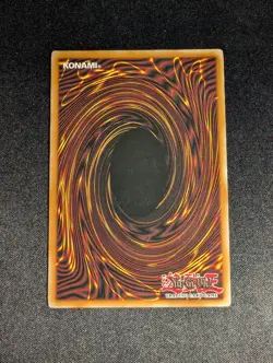 Yugioh - Spellbook Organization GLD5-EN041 Limited Edition Common NM - Image 2