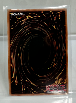 Odd-Eyes Raging Dragon MP17-EN205 * 1st EDITION ULTRA RARE * NM/M Yu-Gi-Oh! - Image 2