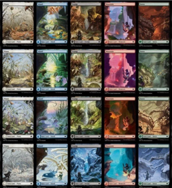 Magic the Gathering Bloomburrow Full Art Land Set 4 Seasons 20x Different Land - Image 1