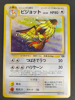 NM Pidgeot Pidgeotto Pidgey Pokemon card Japanese old back aca485 - Image 2