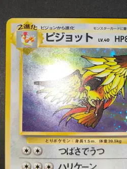 NM Pidgeot Pidgeotto Pidgey Pokemon card Japanese old back aca485 - Image 3