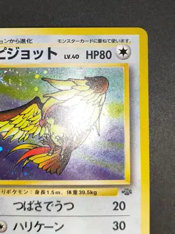 NM Pidgeot Pidgeotto Pidgey Pokemon card Japanese old back aca485 - Image 4