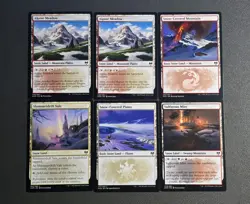 Magic The Gathering MTG - Snow Covered Land Lot - Image 1