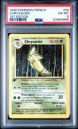 Pokemon Metapod (Chrysacier) Base Set 1st Edition French #54 PSA 6 Graded Card - Image 1