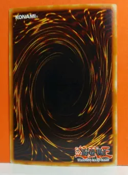 D.D. Warrior Lady HL06-EN003 Parallel Rare Hobby League 6 Yu-Gi-Oh Card - Image 5