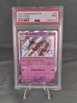 Pokemon Dachsbun 161/091 Shiny Rare Holo SV: Paldean Fates PSA 9 2024 English - Image 1