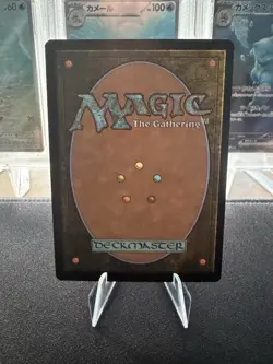 Season of Gathering Bloomburrow Regular - Image 2