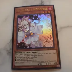 Legendary Collection Kaiba #LCKC-EN080 Ash Blossom & Joyous Spring - Image 1