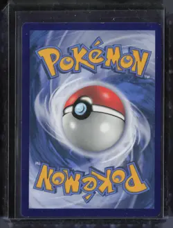 2022 Pokemon Black Star Promo Ultra Premium Collection #SWSH260 Charizard V - Image 2