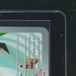 2026 POKEMON MEP BLACK STAR PROMO FIRST PARTNER COLL SERIES 1 #045 POPPLIO - Image 5