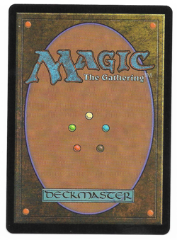 Vivi Ornitier - Chocobo Track Foil Extended Art FIN NM MTG - Image 2